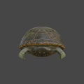 Realistic Turtle Sculpture With Detailed Textured Shell And Sharp Claws 3d model