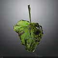 Wilted Plant Leaf with Green and Purple Hues Visible Veins on Dark Background