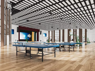 Modern Table Tennis Room Gymnasium Basketball Court Gymnasium Stadium 3d model