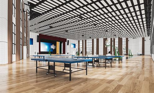 Modern Table Tennis Room Gymnasium Basketball Court Gymnasium Stadium 3d model