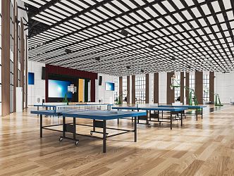 Modern Table Tennis Room Gymnasium Basketball Court Gymnasium Stadium 3d model