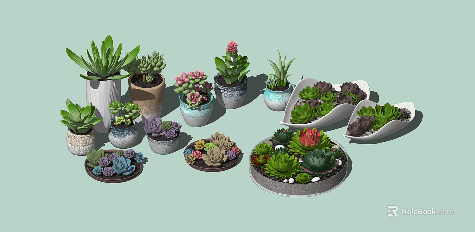 Succulent Bonsai Potted Plants In Various Decorative Pots And Bowl Shaped Containers 3d model 