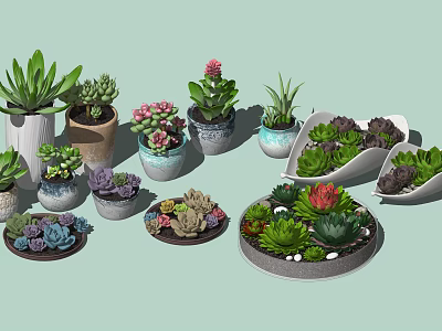 Succulent Bonsai Potted Plants In Various Decorative Pots And Bowl Shaped Containers 3d model