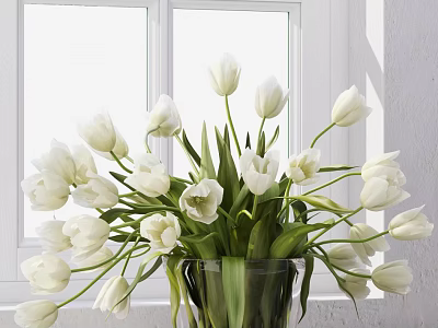 Beautiful White Tulips Arranged In Glass Vase Near Window With Natural Light 3d model