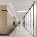 Modern Office Corridor With Wooden Walls Glass Partitions Blinds Lighting And Green Plant