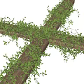 Lush Green Vines and Leaves Covering Crossed Wooden Frames in Garden