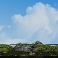 Fresh Natural Garden Landscape With Blue Sky White Clouds Green Grass Rocks And Red Flowers