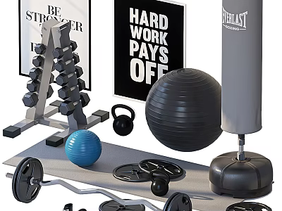 Essential Sports Equipment With Dumbbell Rack Kettlebells Exercise Ball Barbell Weight Plates And Punching Bag 3d model
