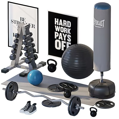 Essential Sports Equipment With Dumbbell Rack Kettlebells Exercise Ball Barbell Weight Plates And Punching Bag 3d model