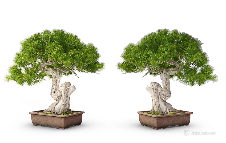 Two Bonsai Trees with Green Foliage and Curved Trunks in Brown Planters 3d model 