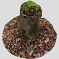 Old Tree Stump Covered With Green Moss Surrounded By Fallen Leaves 3d model
