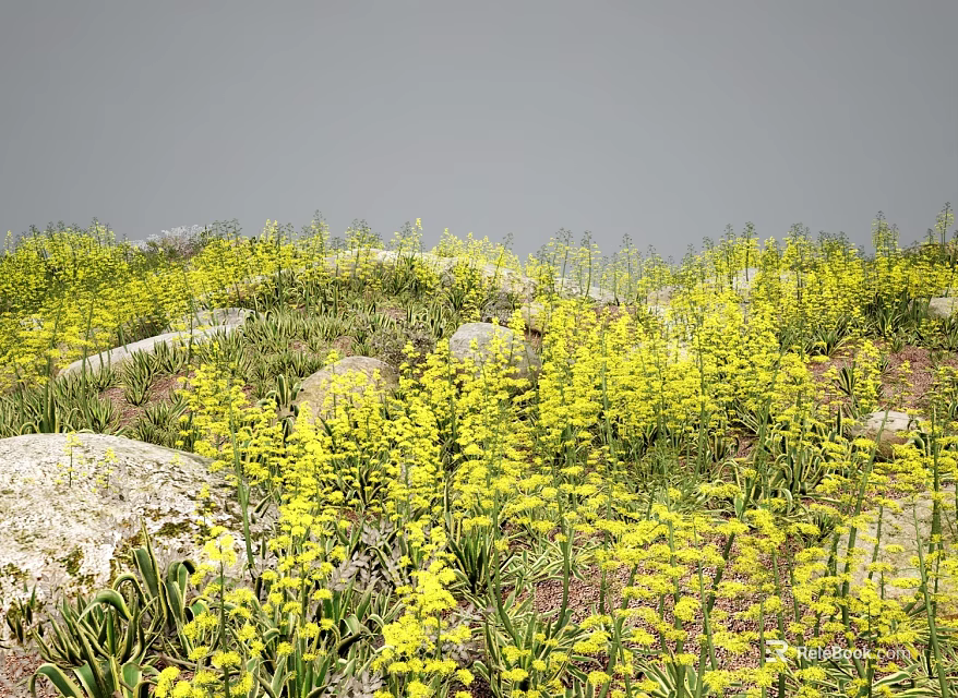 Yellow Flowers Growing Among Rocks And Green Plants Under Gray Sky 3d model 
