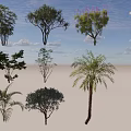 Various Arbor Trees with Diverse Foliage Shapes and Heights for Landscaping