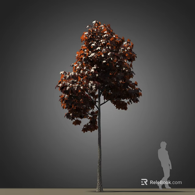 Tall Tree With Red Brown Leaves And Slender Trunk In Landscape Design 3d model 