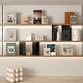 Bookshelf Magazine Books 3d model