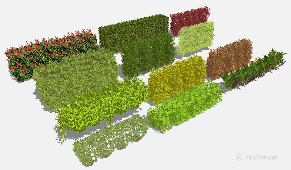 Colorful Shrubs Collection For Landscaping With Green Red And Yellow Varieties 3d model 