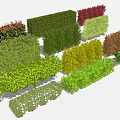 Colorful Shrubs Collection For Landscaping With Green Red And Yellow Varieties