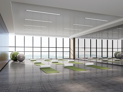 Modern Yoga Room model