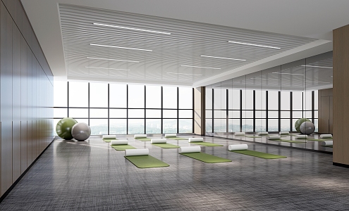 Modern Yoga Room 3d model