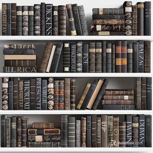 Vintage Bookcase With Organized Rows Of Classic Books And Decorative Spines 3d model 