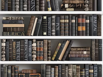 Vintage Bookcase With Organized Rows Of Classic Books And Decorative Spines 3d model