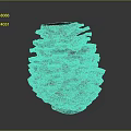 Pine Cone With Natural Scaly Brown Texture Isolated On Dark Background