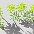 Green and Yellow Leafy Palm and Banana Trees with Light Colored Trunks in Gray Background