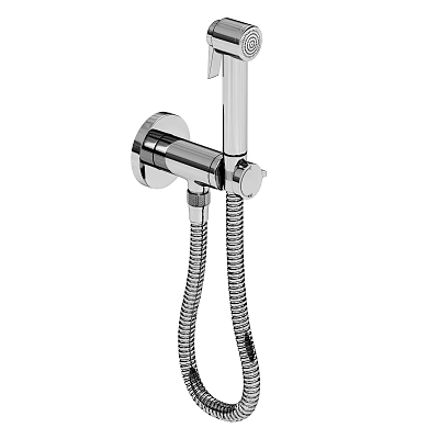 Handheld Showerhead With Chrome Finish Wall Mounted Metal Fixture Flexible Hose 3d model
