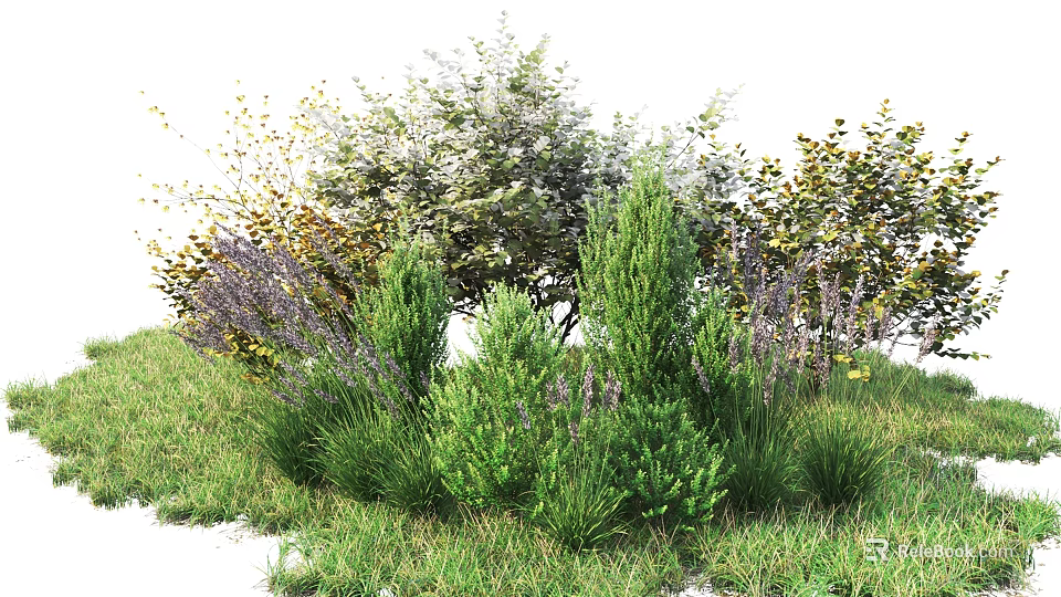 Various Green and Purple Flowering Shrubs in Lush Grass Garden Setting 3d model 