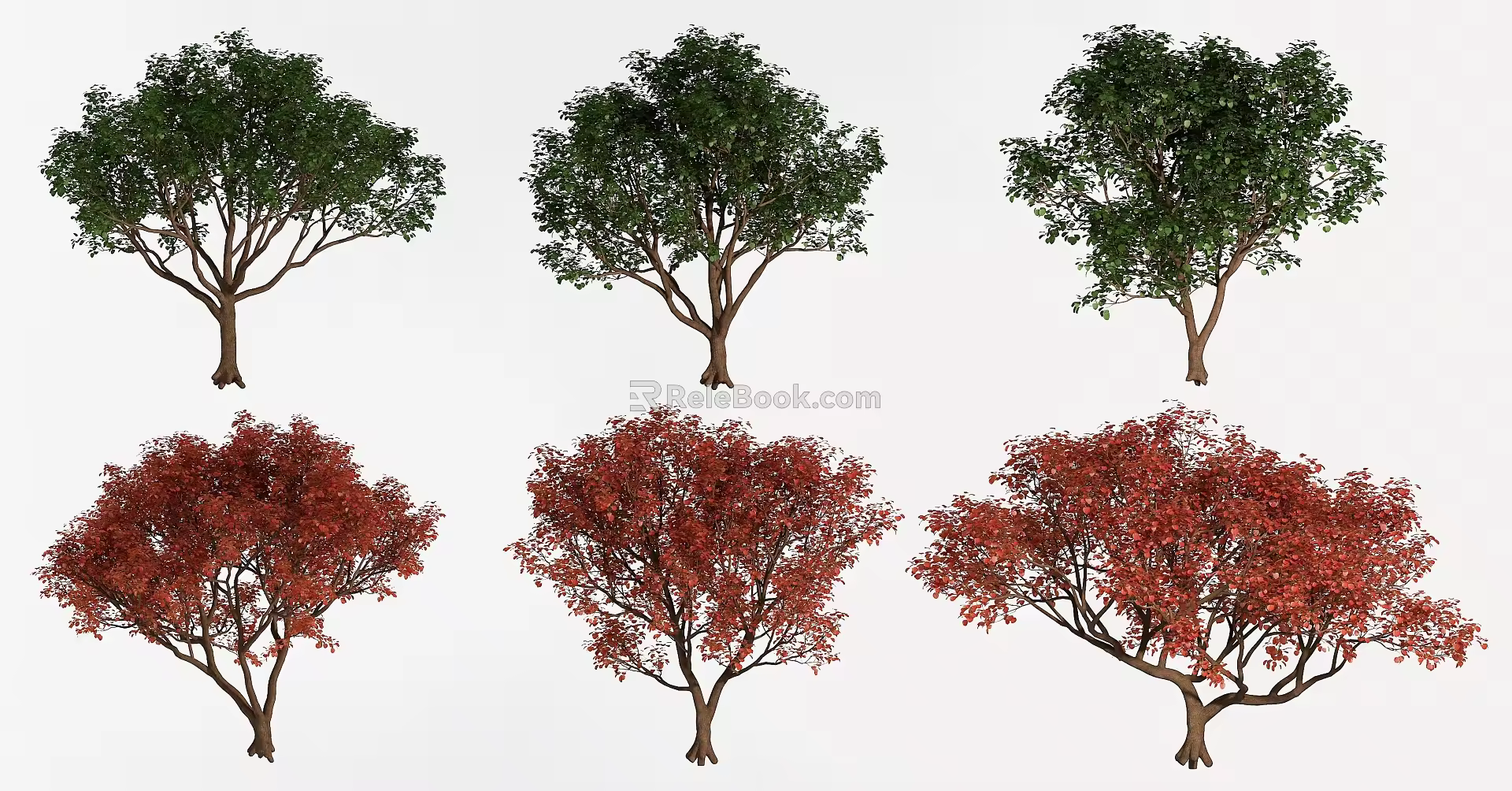 Trees Landscape Trees Street Trees Greening Trees 3d model
