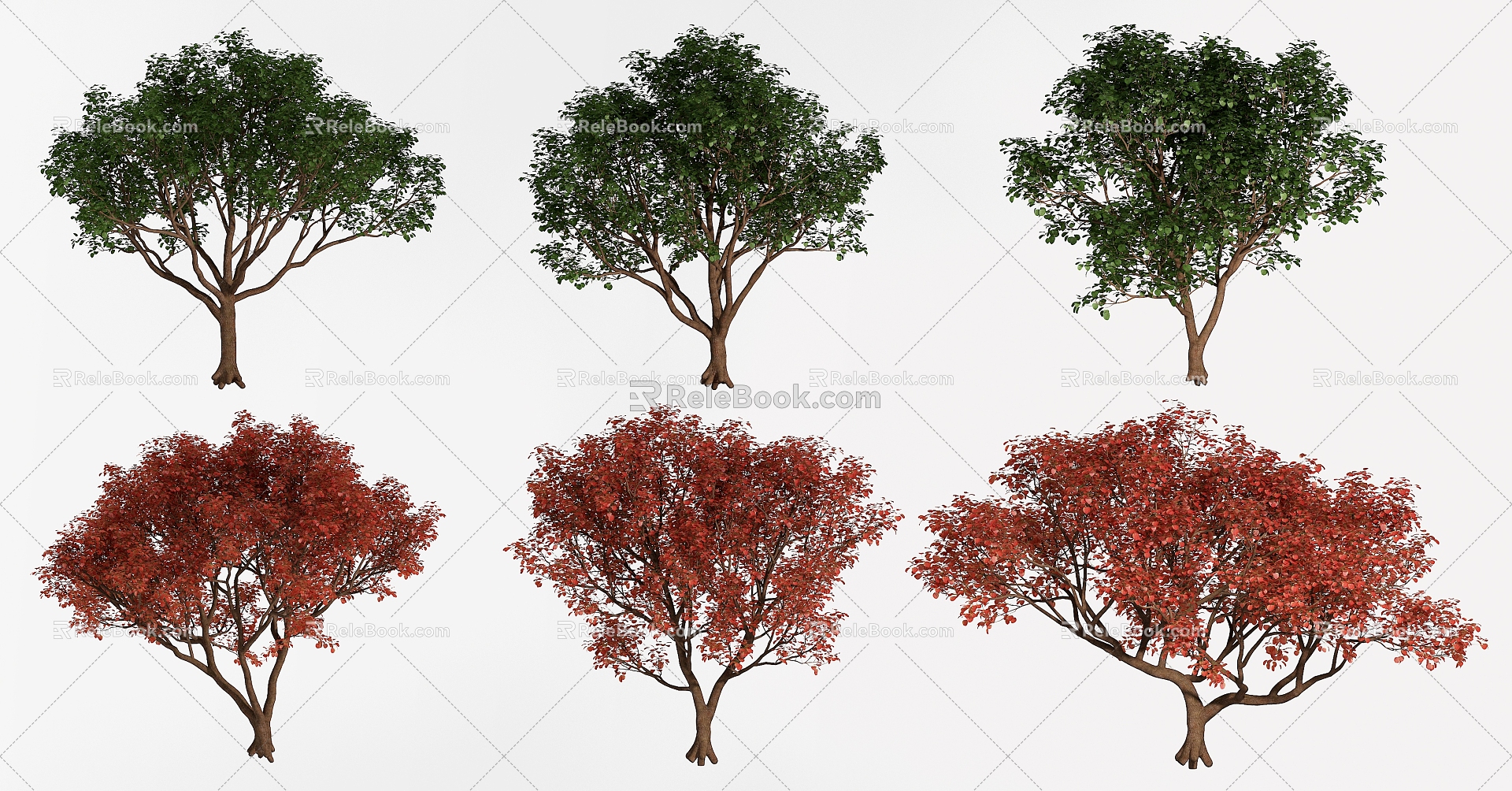 Trees Landscape Trees Street Trees Greening Trees 3d model