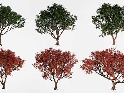Trees Landscape Trees Street Trees Greening Trees 3d model