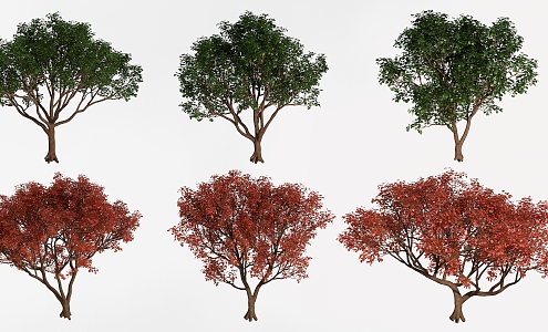 Trees Landscape Trees Street Trees Greening Trees 3d model