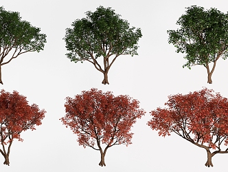 Trees Landscape Trees Street Trees Greening Trees 3d model