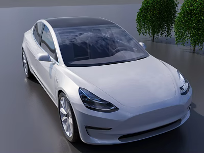White Tesla Electric Sedan With Black Roof Modern Design Near Green Trees Outdoor 3d model