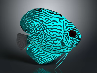 Turquoise Discus Fish With Black Striped Pattern And Glowing Tropical Features 3d model
