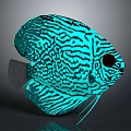 Turquoise Discus Fish With Black Striped Pattern And Glowing Tropical Features