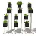 Bonsai Potted Plants Display On Multiple Tier Metal Stands With Various Green Foliage