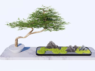 Decorative Bonsai Garden Ornament With Curved Trunk Green Foliage Stones And Rock Formations 3d model