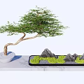 Decorative Bonsai Garden Ornament With Curved Trunk Green Foliage Stones And Rock Formations