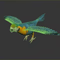 Vibrant Blue and Yellow Parrot Flying with Spread Wings Against Dark Background