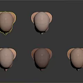 Multiple Bald Women Head Models Showcasing Various Skin Tones And Facial Features
