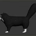 Cartoon Black And White Cat With Green Eyes Long Tail White Paws 3D Model Design