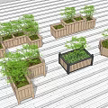 Bonsai Plants in Wooden Planters with Various Shapes Arranged on Wooden Deck