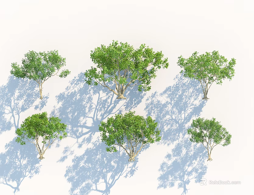 Arbor Trees Isolated On White Background With Green Foliage And Shadows 3d model