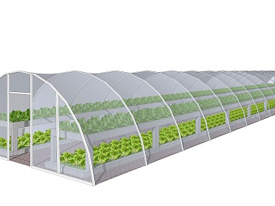 Modern Greenhouse Vegetable Greenhouse model