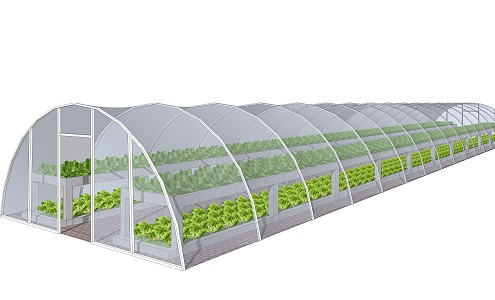 Modern Greenhouse Vegetable Greenhouse 3d model