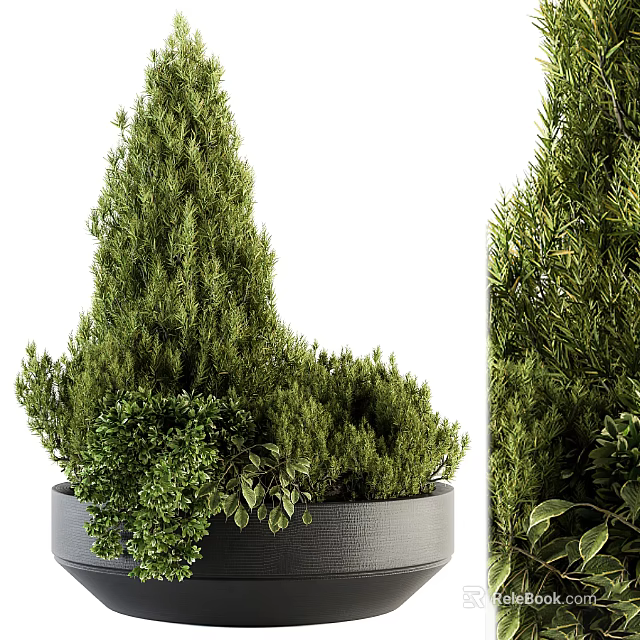 Bonsai Potted Greenery With Mixed Lush Foliage In Textured Gray Pot 3d model 