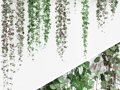 Hanging Green Plants In Planters For Indoor Wall Decor With Lush Vines 3d model