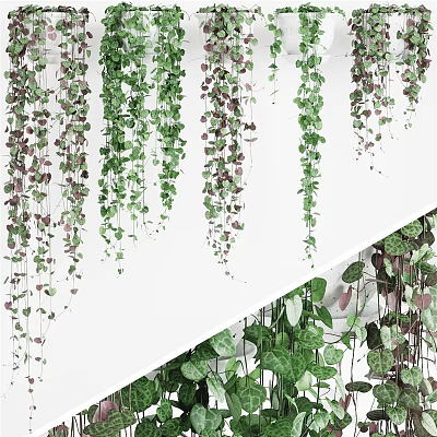 Hanging Green Plants In Planters For Indoor Wall Decor With Lush Vines 3d model